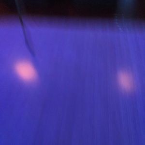 Meet your Posher, Autumn